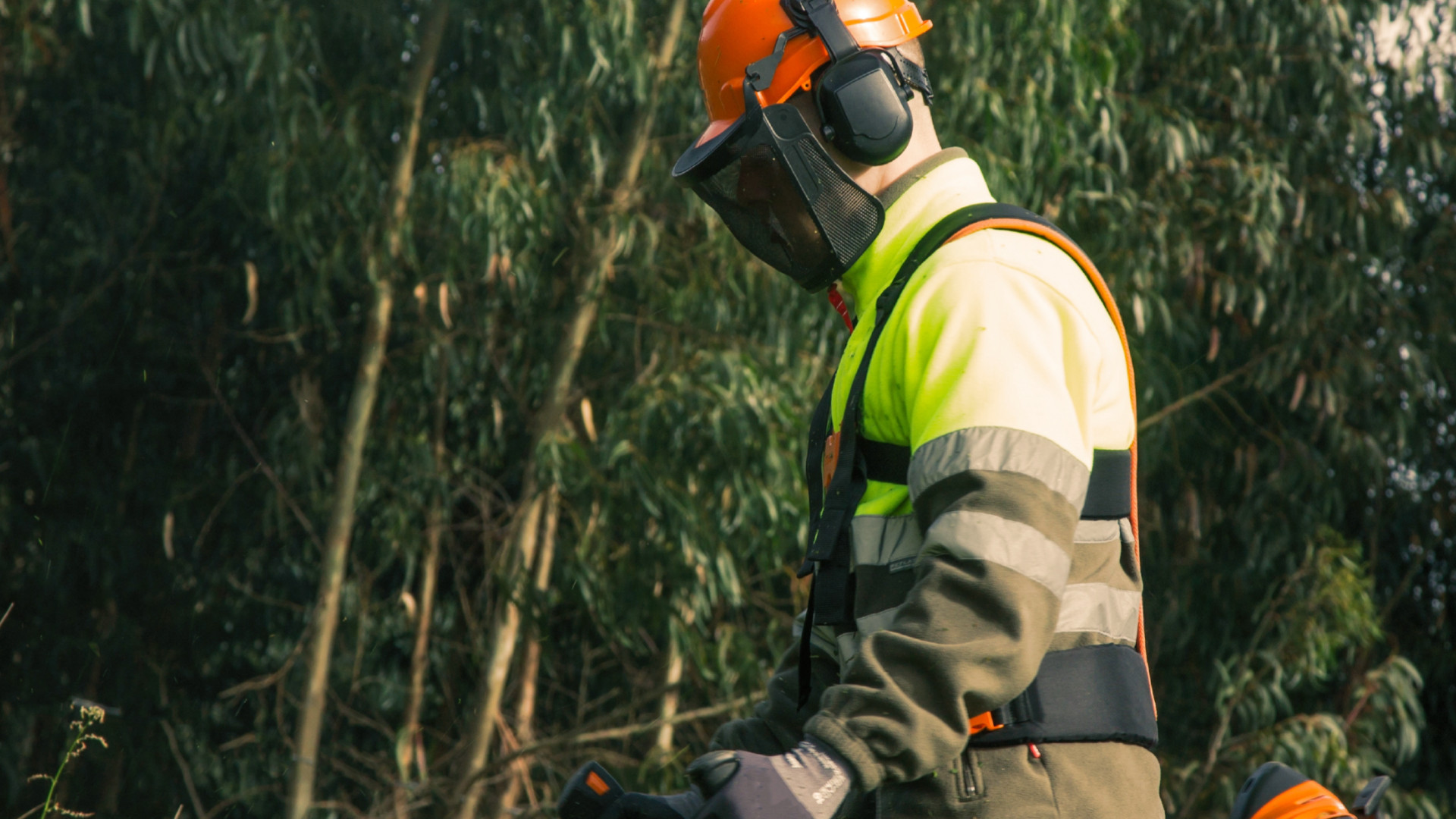 FOLA2 Slider Block info box