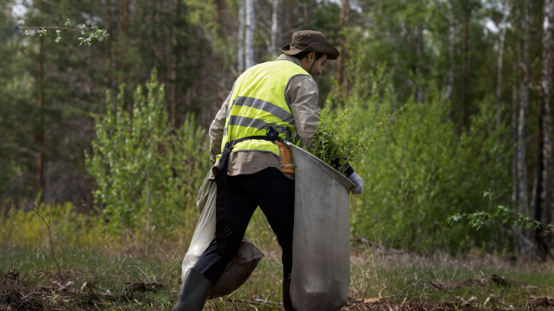 FOLA 6 8 LARGE BANNER IMAGES