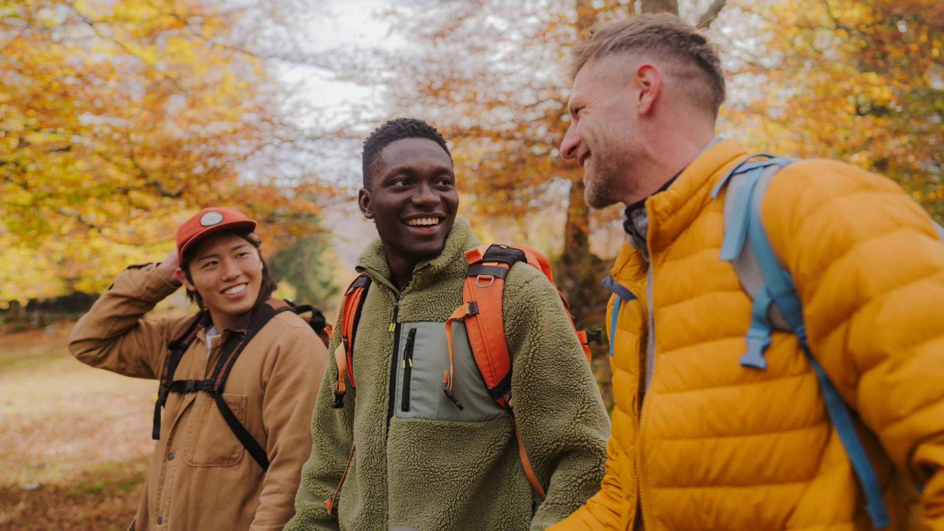 Forest and Outdoor Learning Skills 2 5 content includes