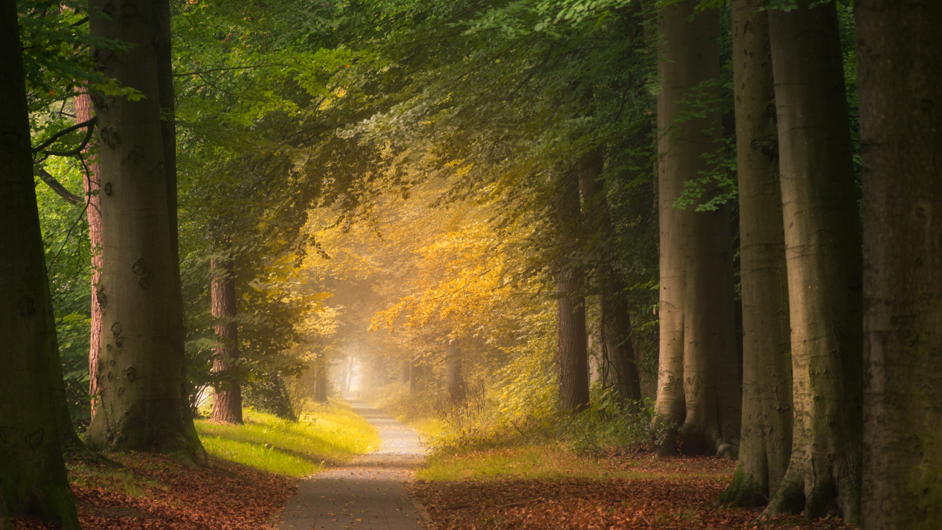 Outdoor Slider Block info box