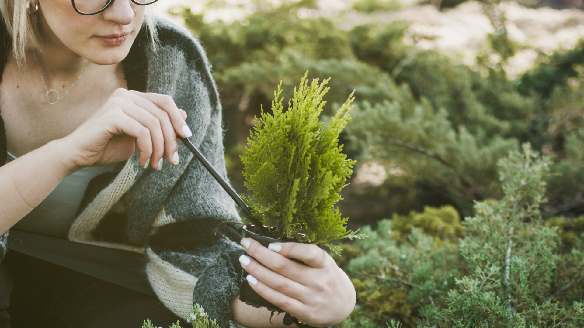 Prescribe Slider Block info box