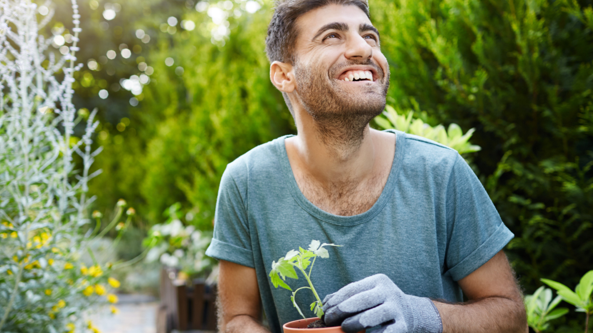 Rura who for Slider Block info box