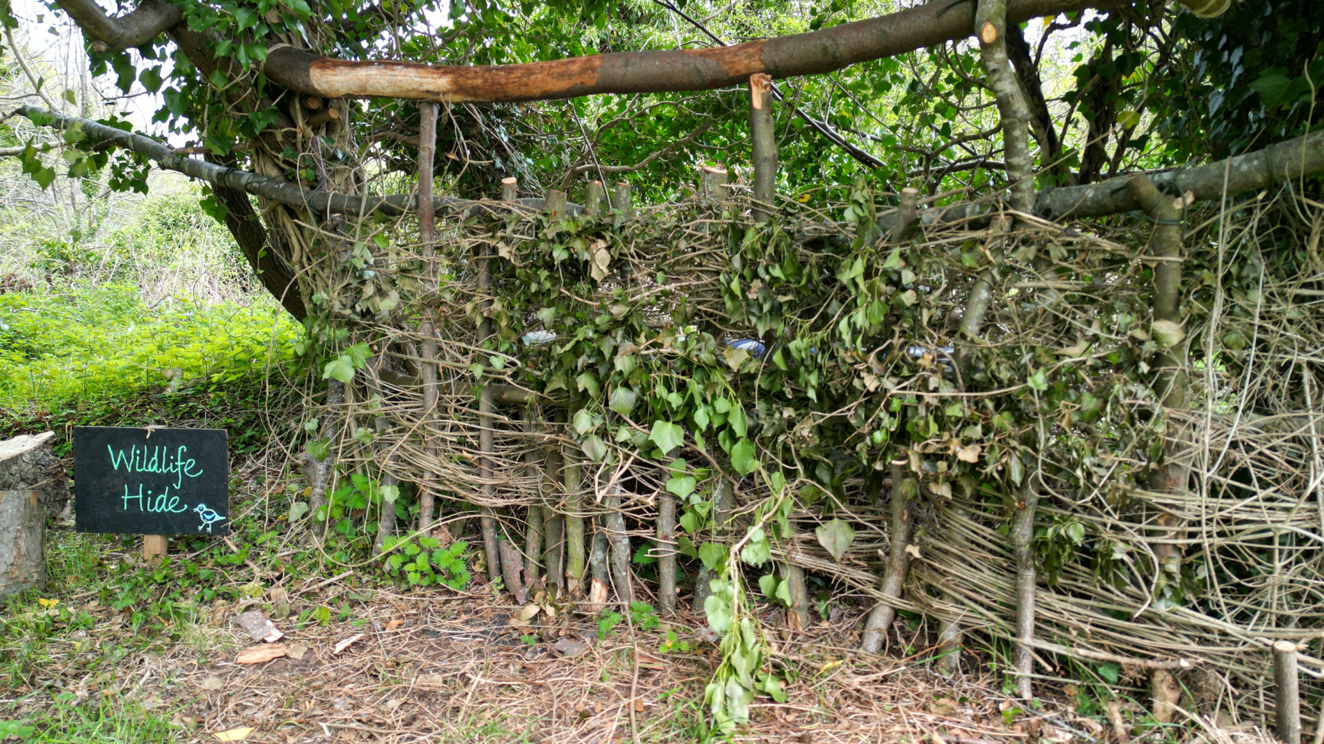 Rural Skills LARGE BANNER IMAGES