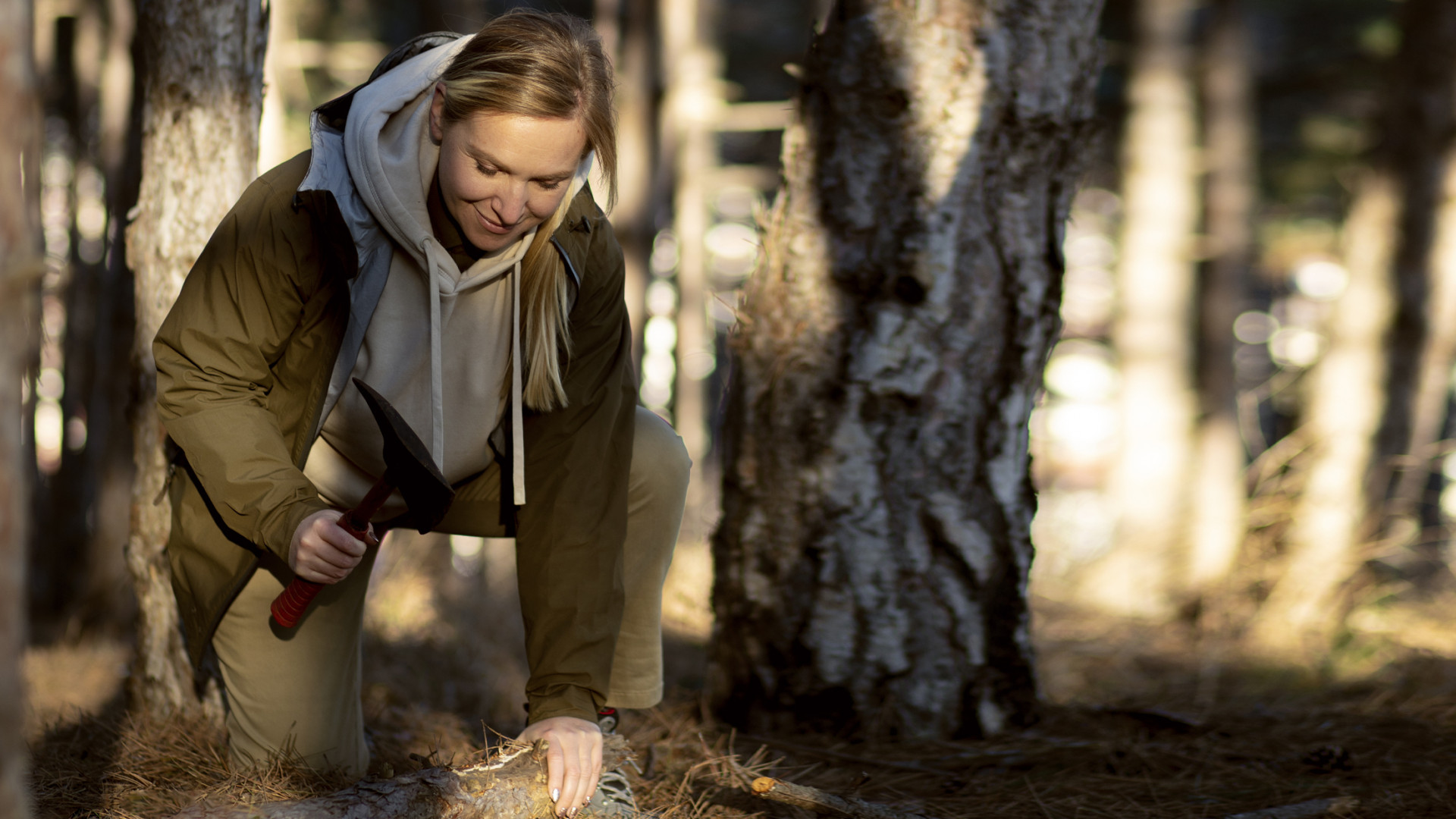 Wildlife4 Slider Block info box