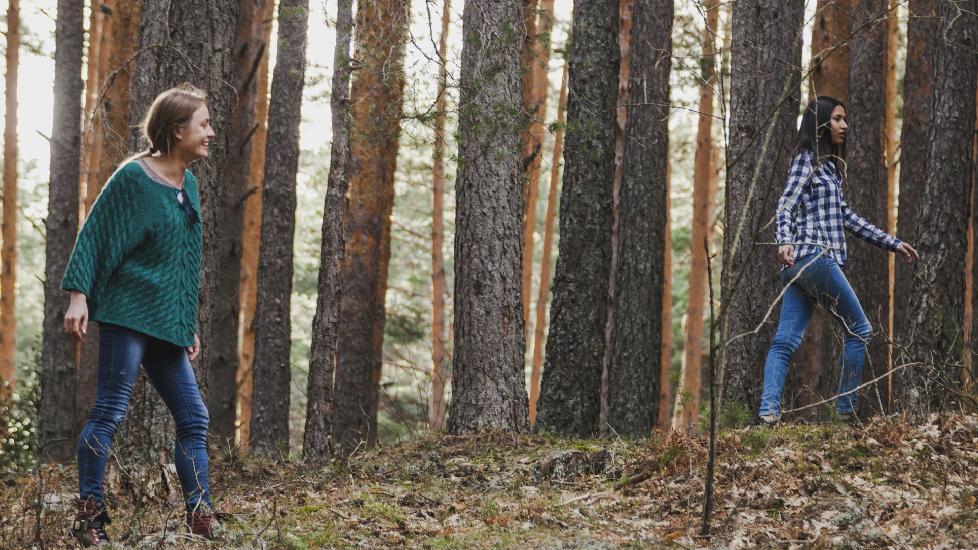 Wildllife QUOTE IMAGES