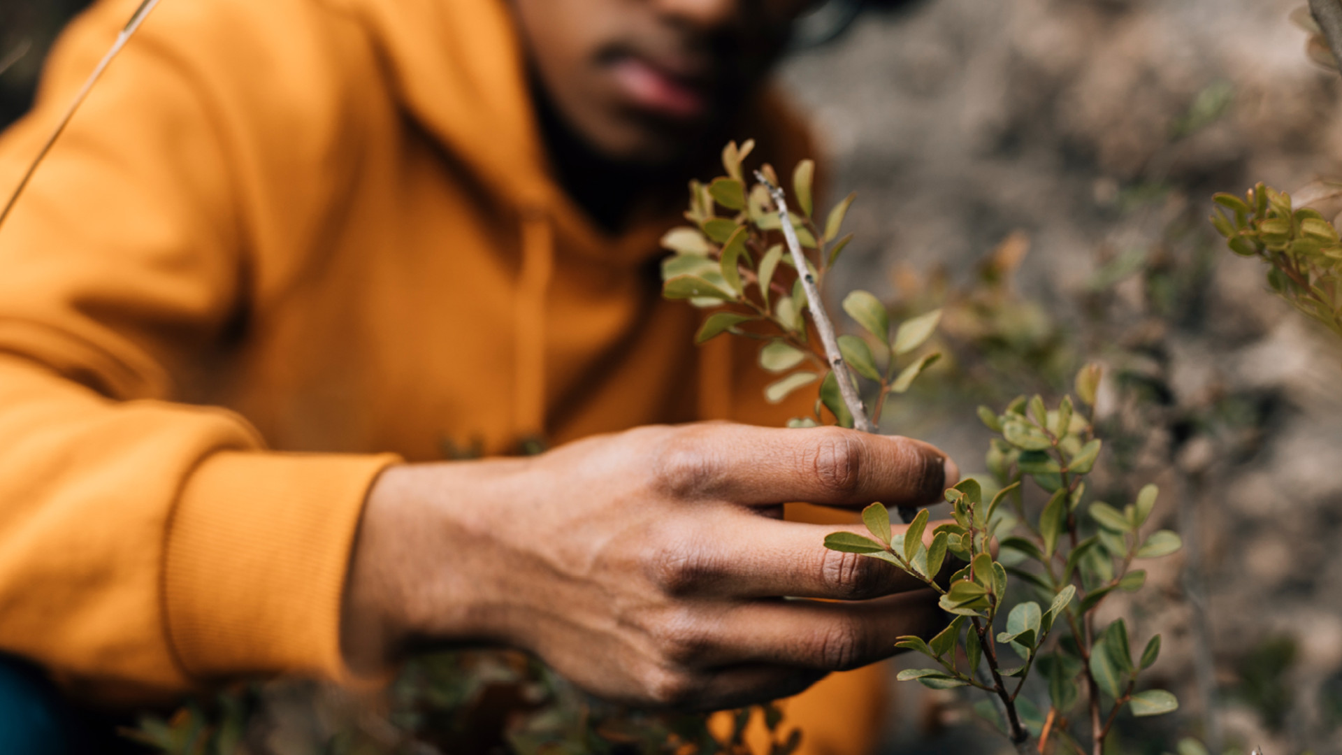 Fola 8 Slider Block info box