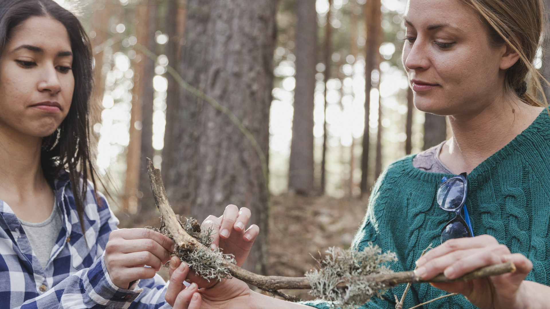 Prescribe nature LARGE BANNER IMAGES