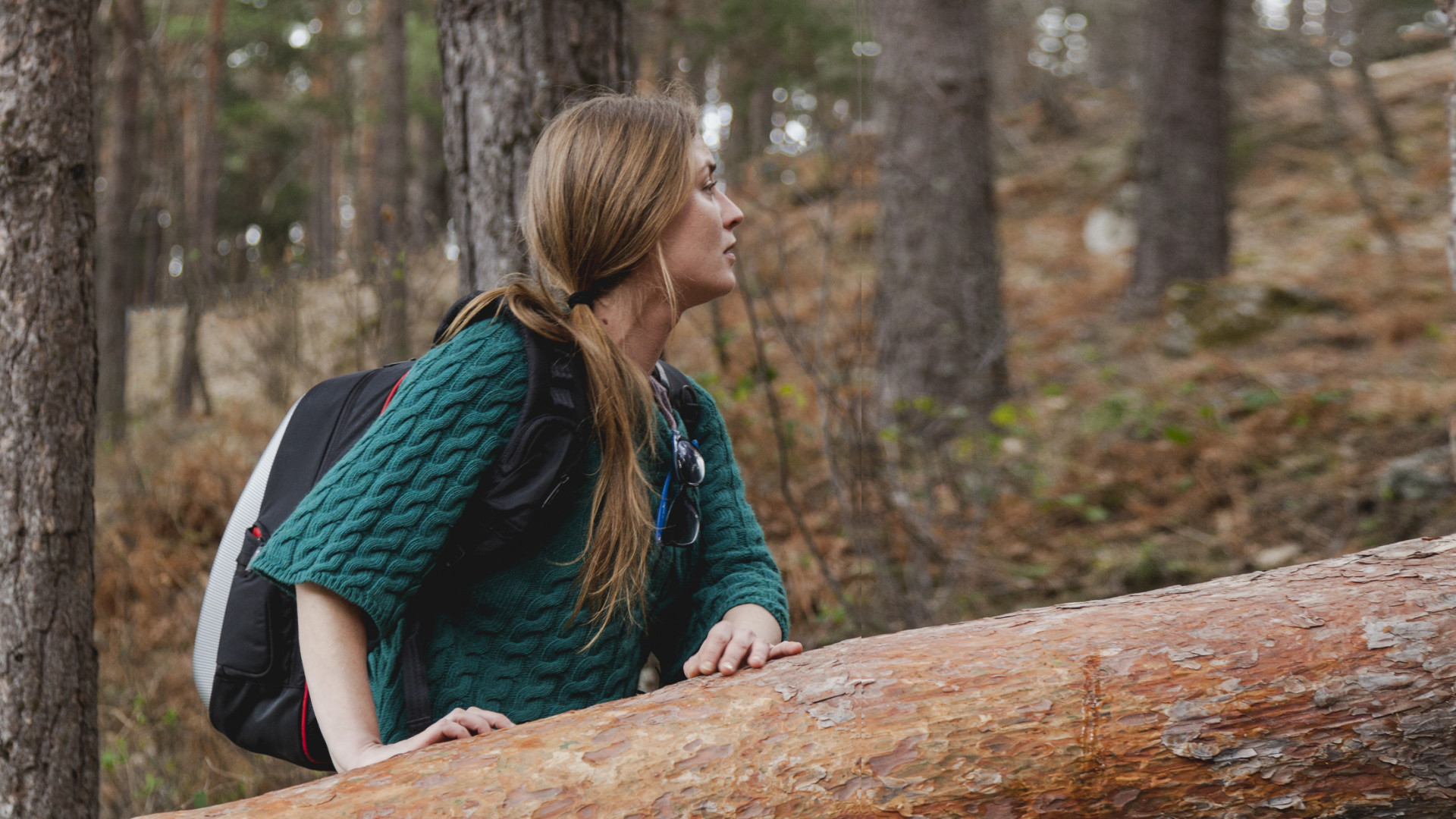 Rural skills flip Slider Block info box