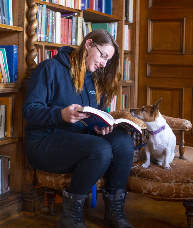 AAA Smaller box images