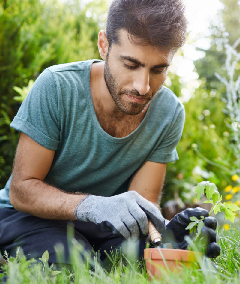 Fola 6 8 Smaller box images