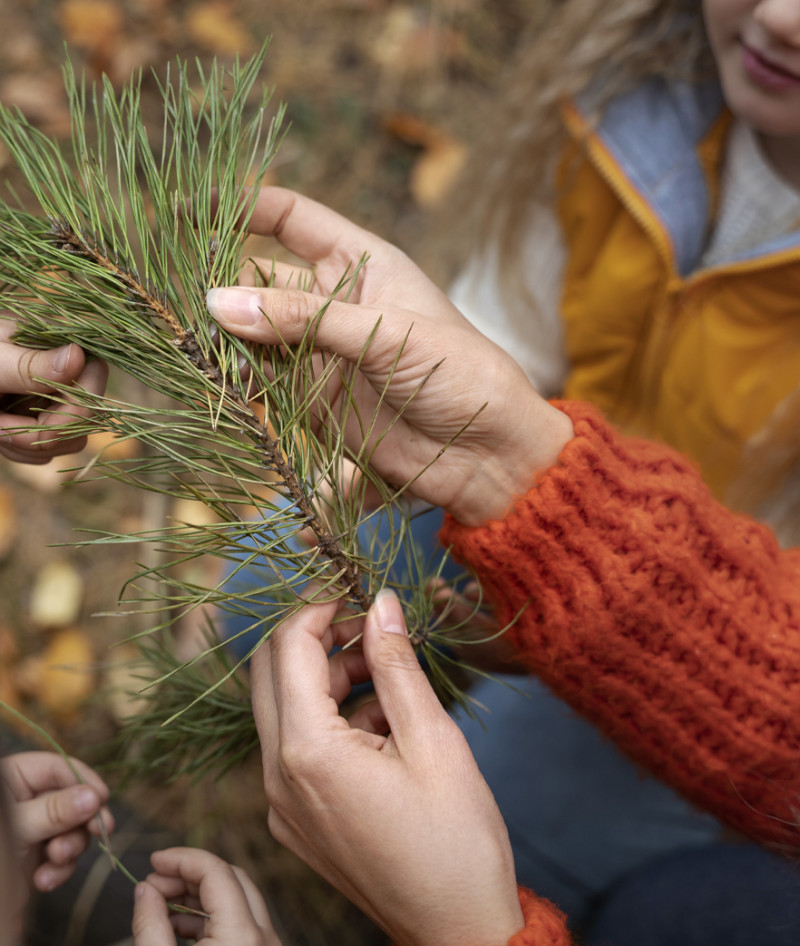 Rural Skills Smaller box images