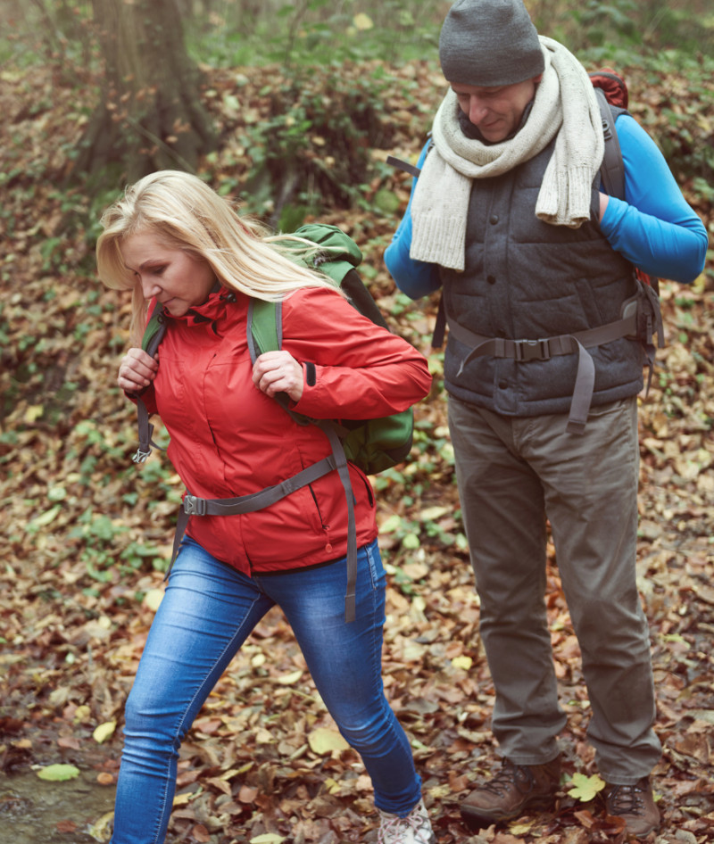 Wildlife Smaller box images