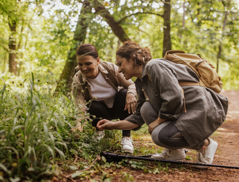 Forest and outdoor learning these awards are perfect for