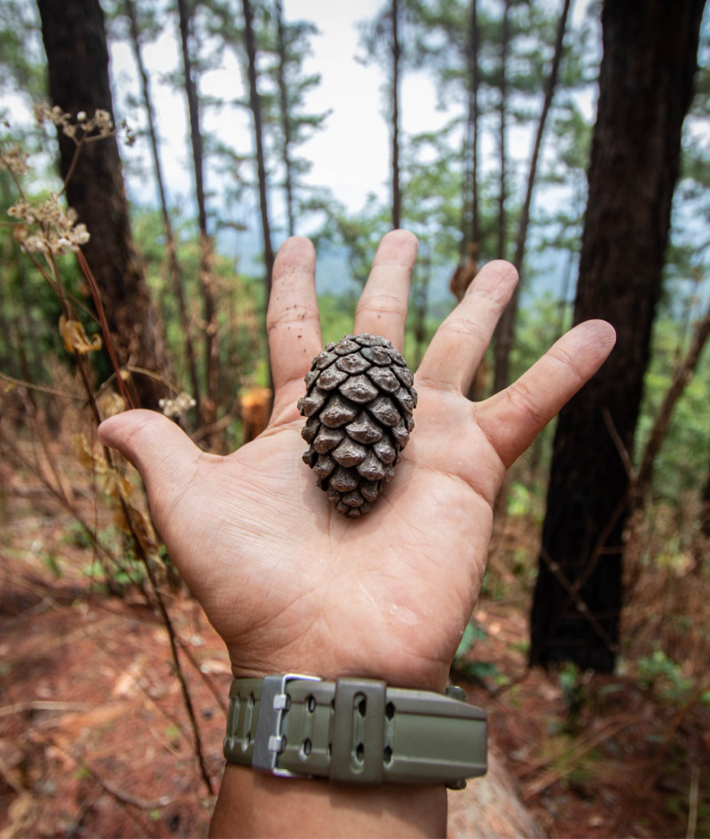 Outdoor learn Smaller box images